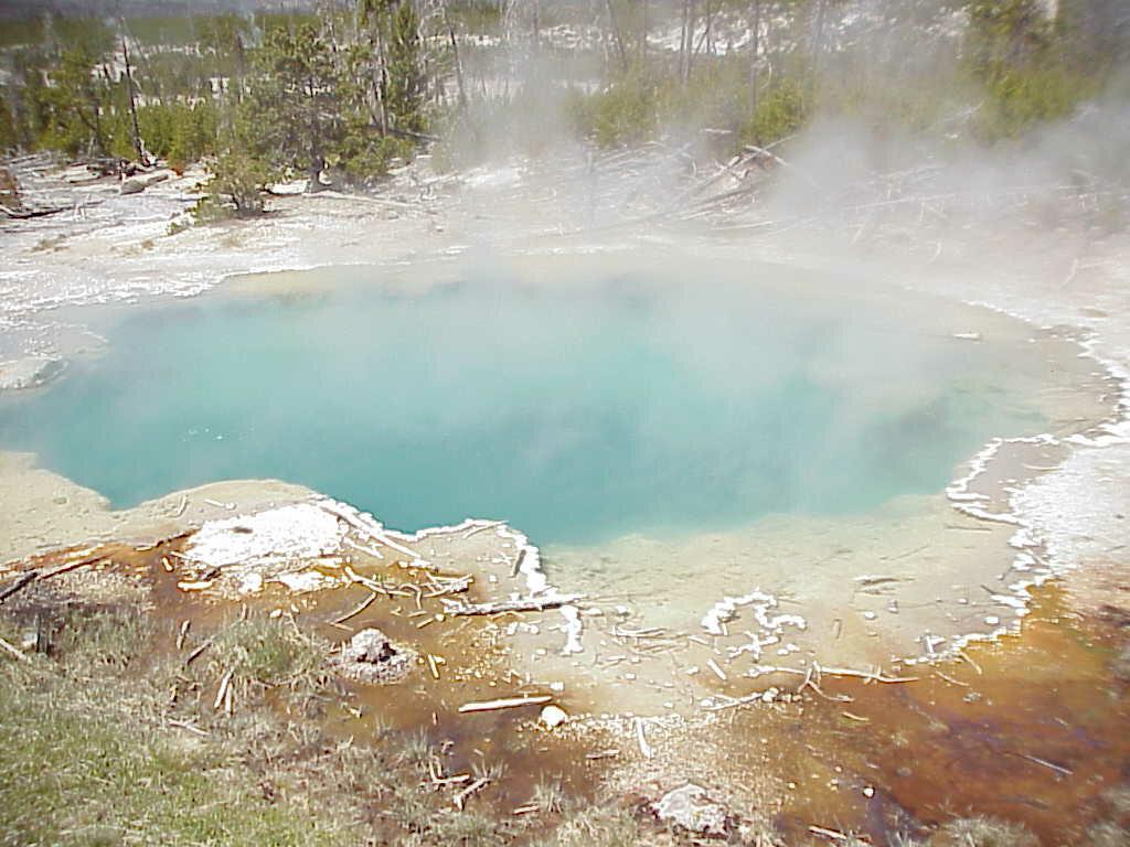 emeraldspring.jpg (100767 bytes)