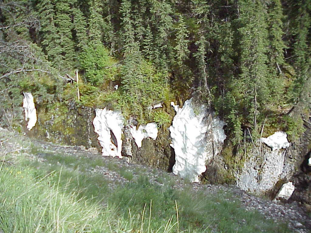 iceboxcanyon.jpg (161942 bytes)