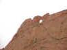 kissingcamels.jpg (53654 bytes)